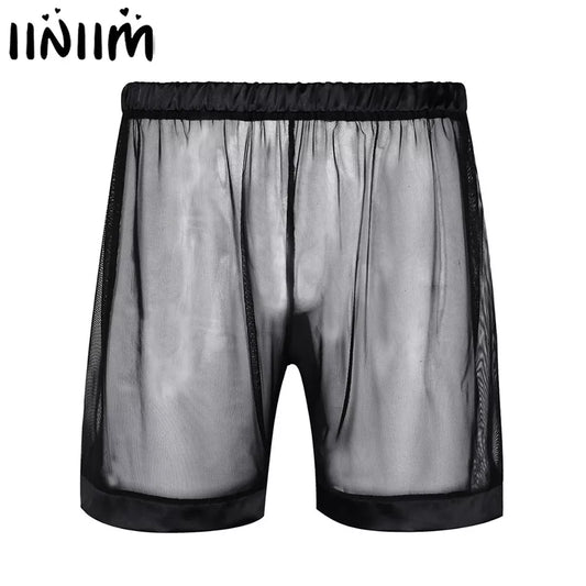 Men's Lingerie Sheer Underwear