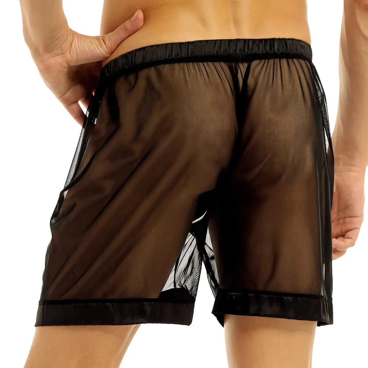 Men's Lingerie Sheer Underwear